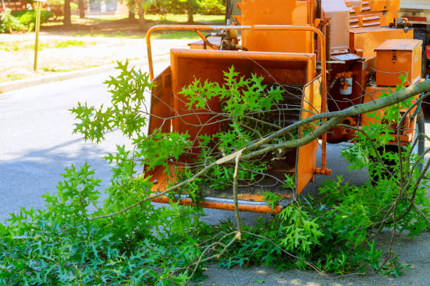 Mulching Services in Bohemia, NY